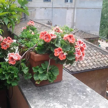 Διαμέρισμα Casa Giulia Ρώμη