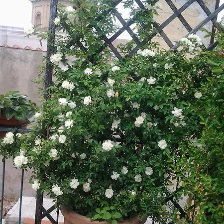 Appartement Casa Giulia